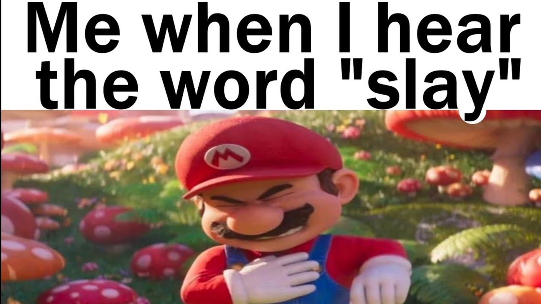 Slay is a stupid word  - meme