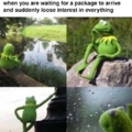 Waiting for a package