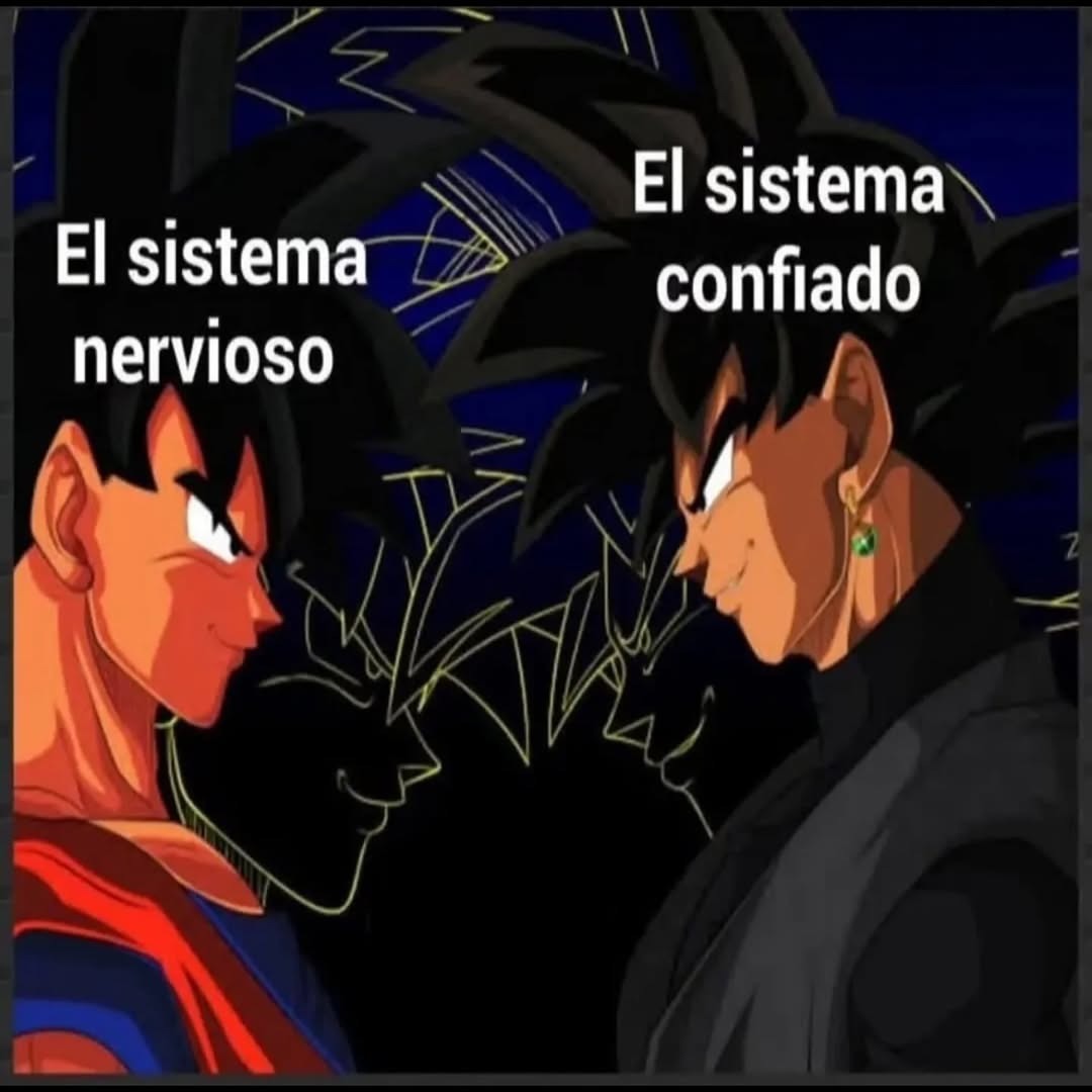 el sistema nervioso cuando el sistema confía - meme