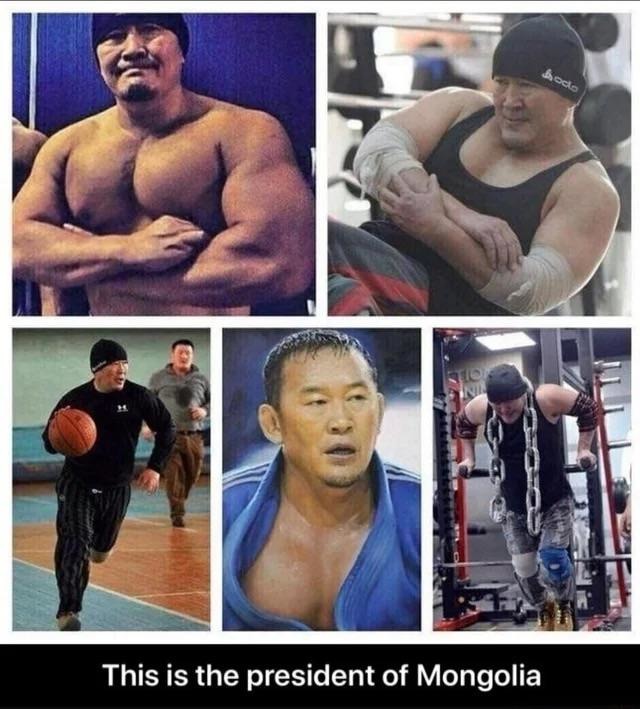 President of Mongolia - meme