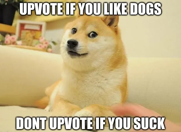 Upvote If You Like Dogs - meme