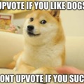 Upvote If You Like Dogs
