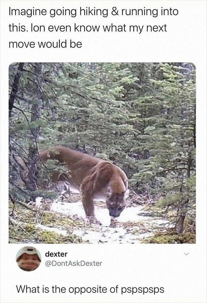 Title - meme