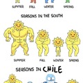 Literal, F Por Chile