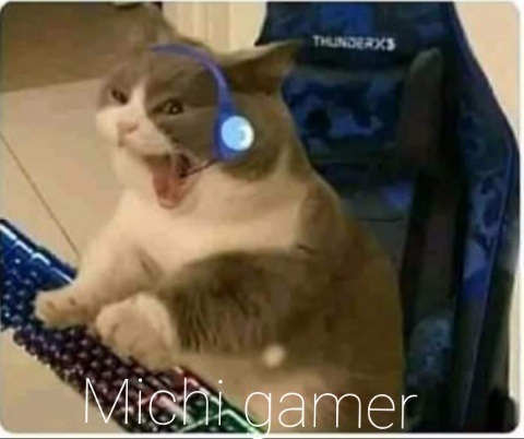 Michi gamer - meme