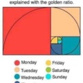 Duration of the days of the week