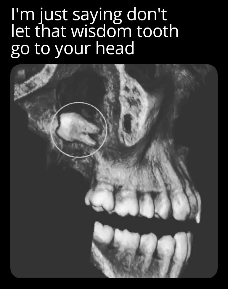 Don't listen to me, do as the tooth commands - meme