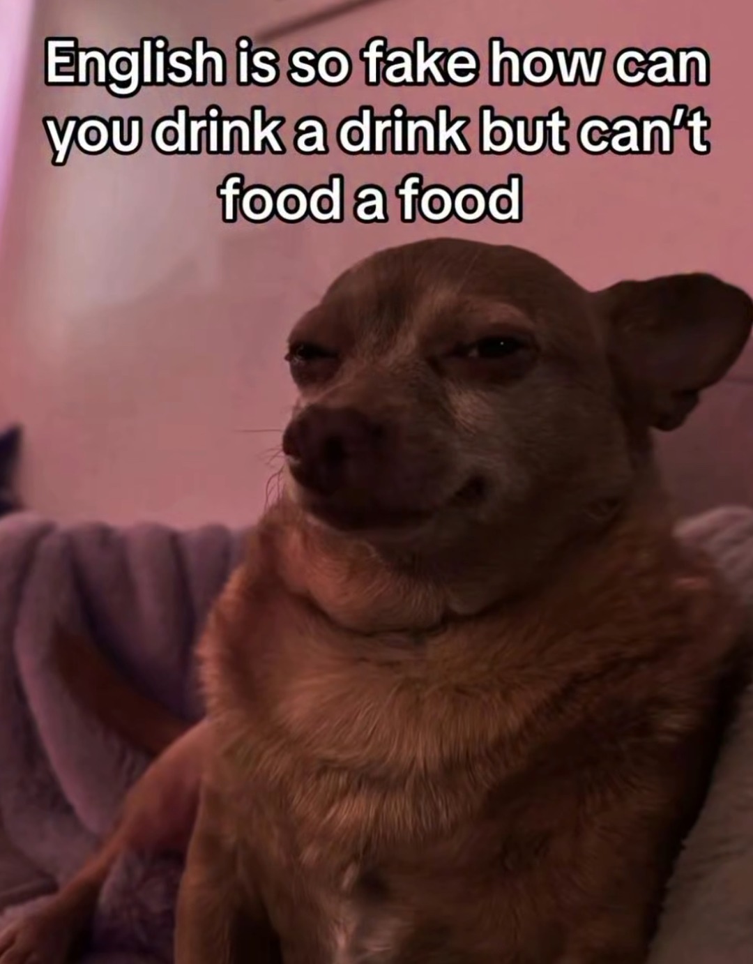 who want’s to food food? - meme