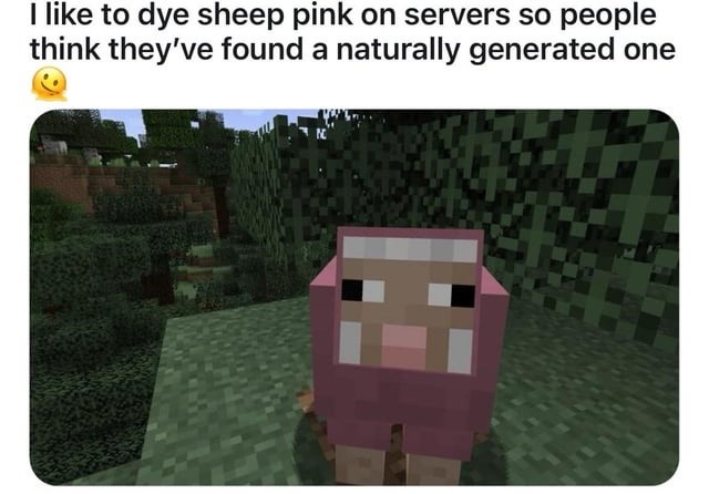 I dye sheep pink on Minecraft servers just to mess with people - meme
