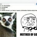 Mother of lemur