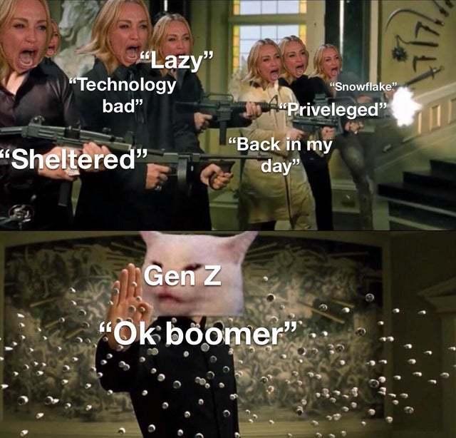 OK boomer - meme