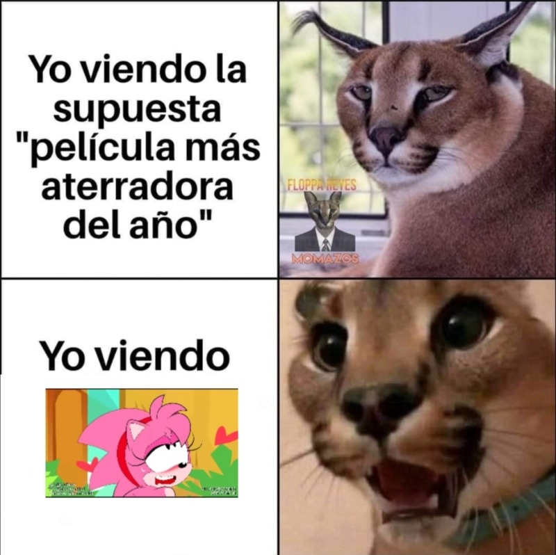 Re Xd Esta El Meme