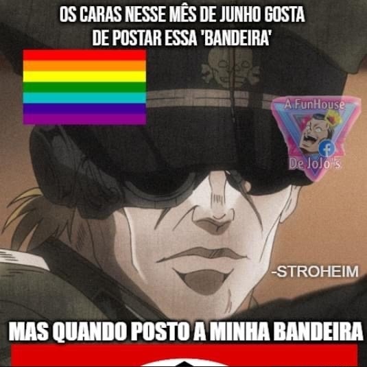 bandeira - meme