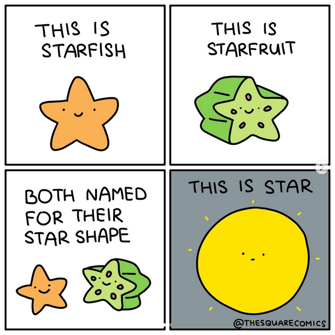 STARSHIP - meme