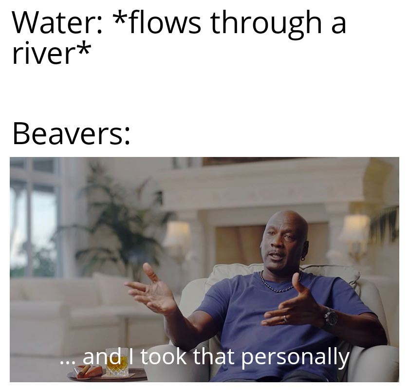 F'in beavers - meme
