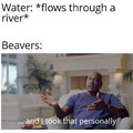F'in beavers