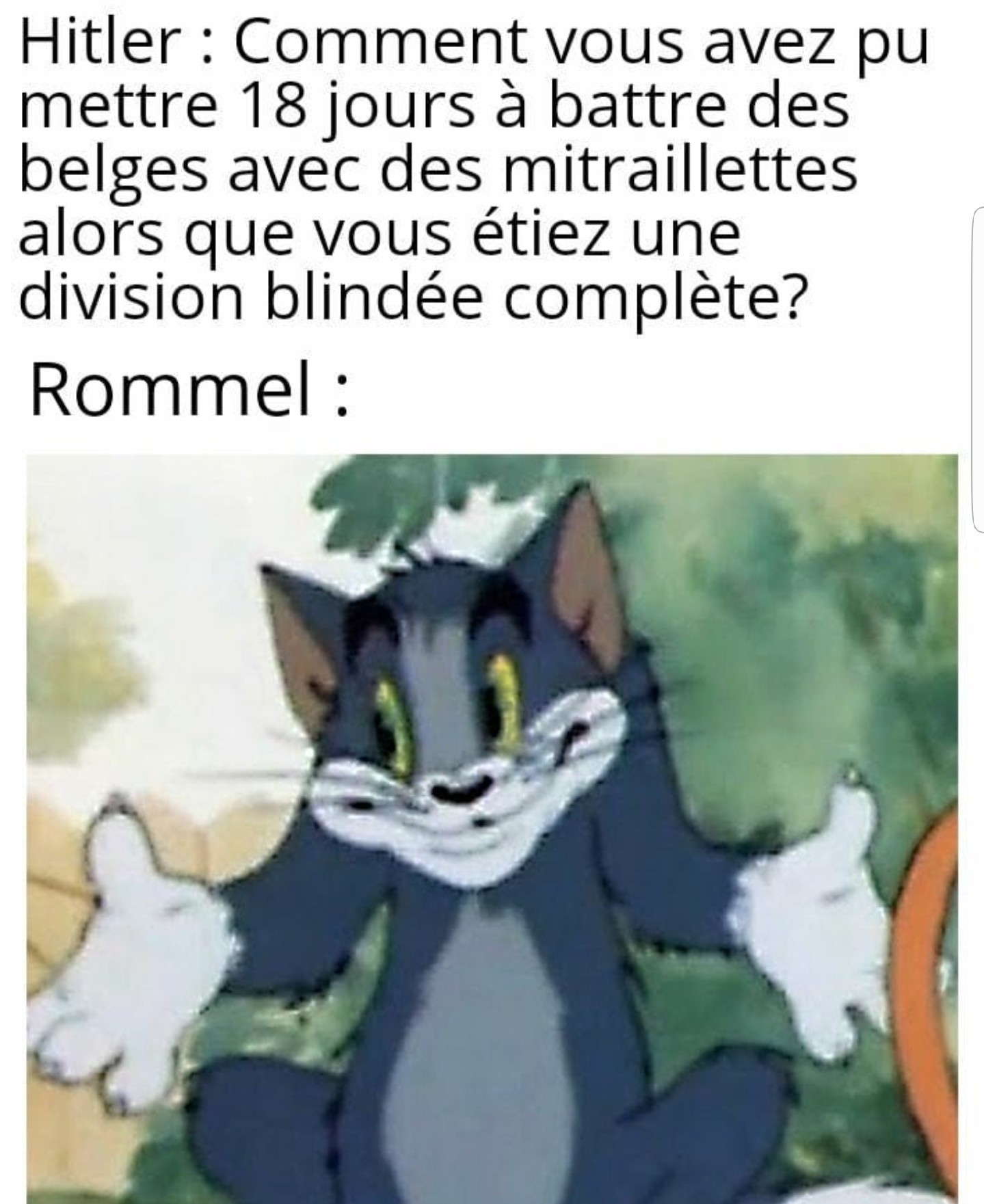 honneur au unités de chasseurs belges - meme