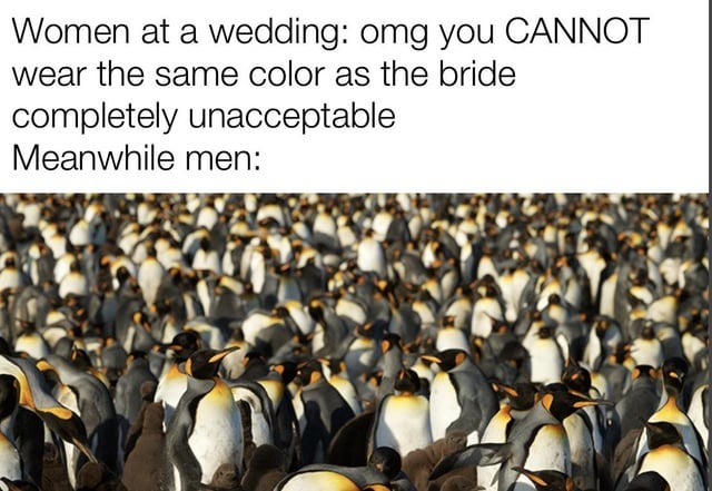 funny comparison between men and women at weddings