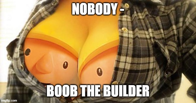 dongs in a builder - meme