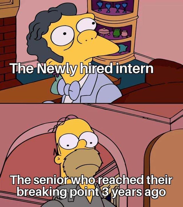 Newly hired vs senior - meme