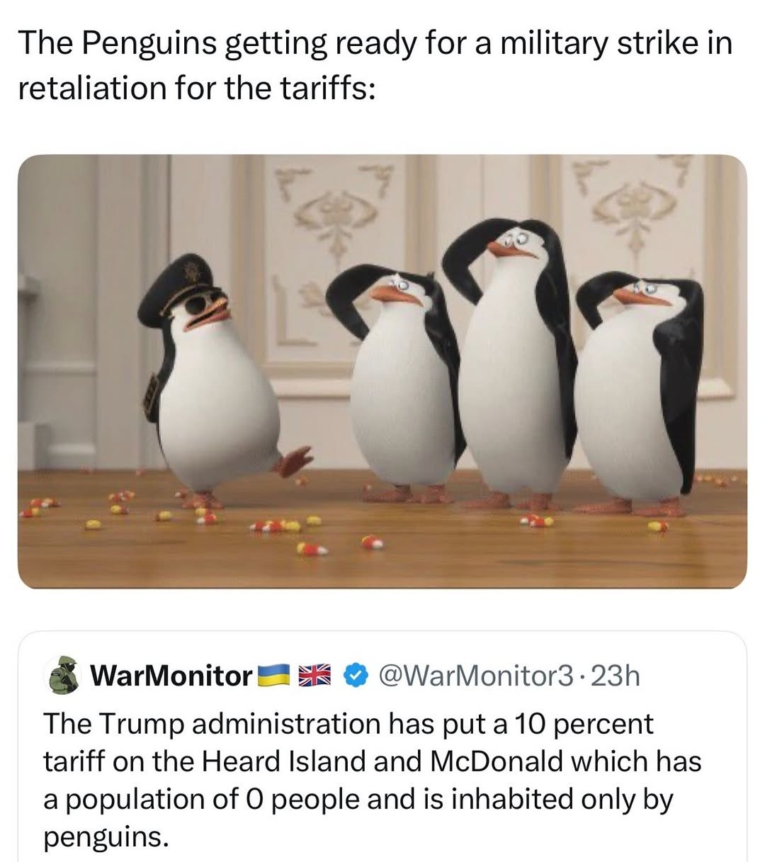 Penguins preparing for war after Trump tariffs - meme
