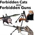 Should have put forbidden gats