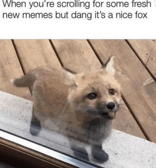 Take a rest - meme