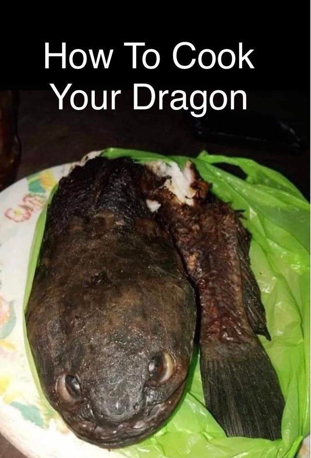 How to cook your dragon - meme