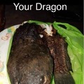 How to cook your dragon