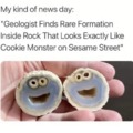Cookie Monster rock