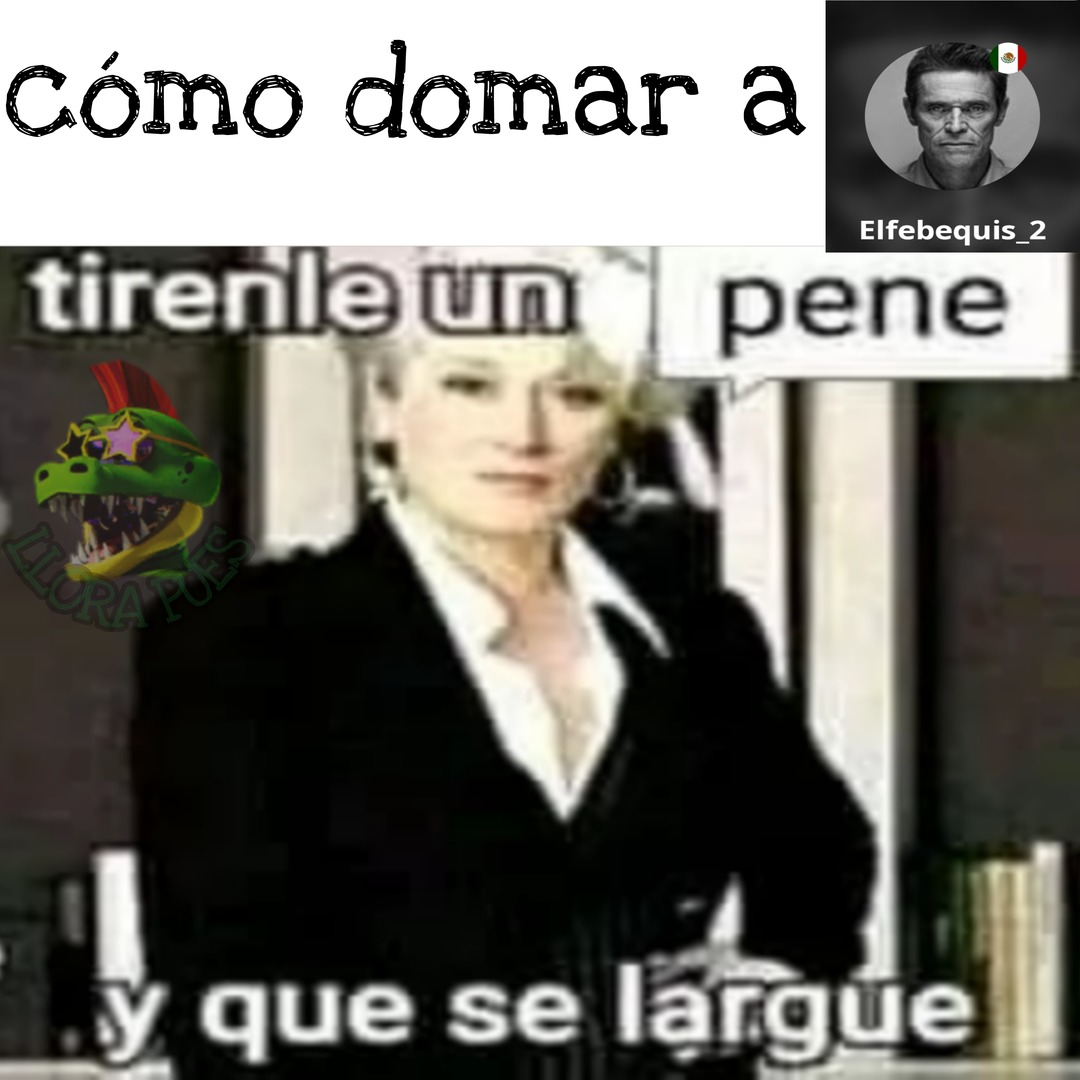 Momazo y DOMADA. - meme