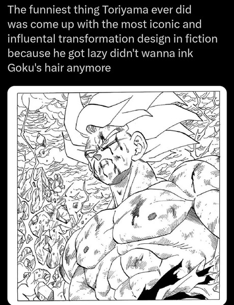 Goku's hair - meme