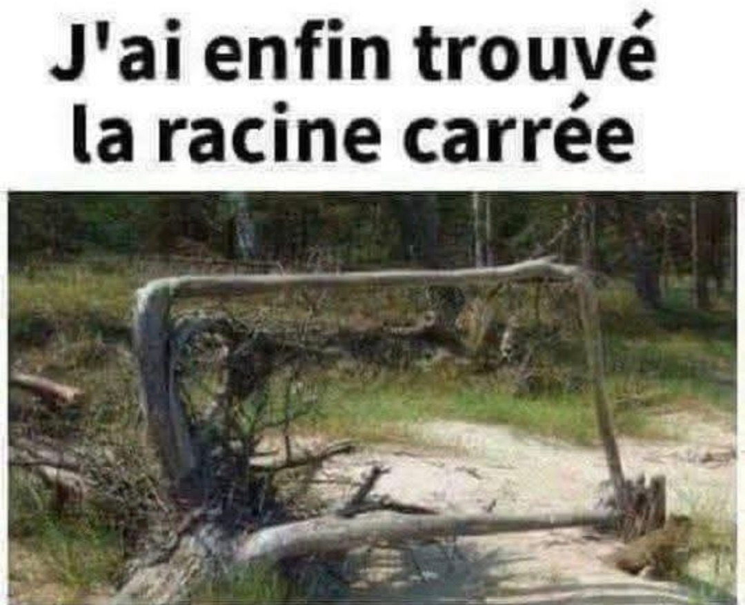 maths résolues - meme