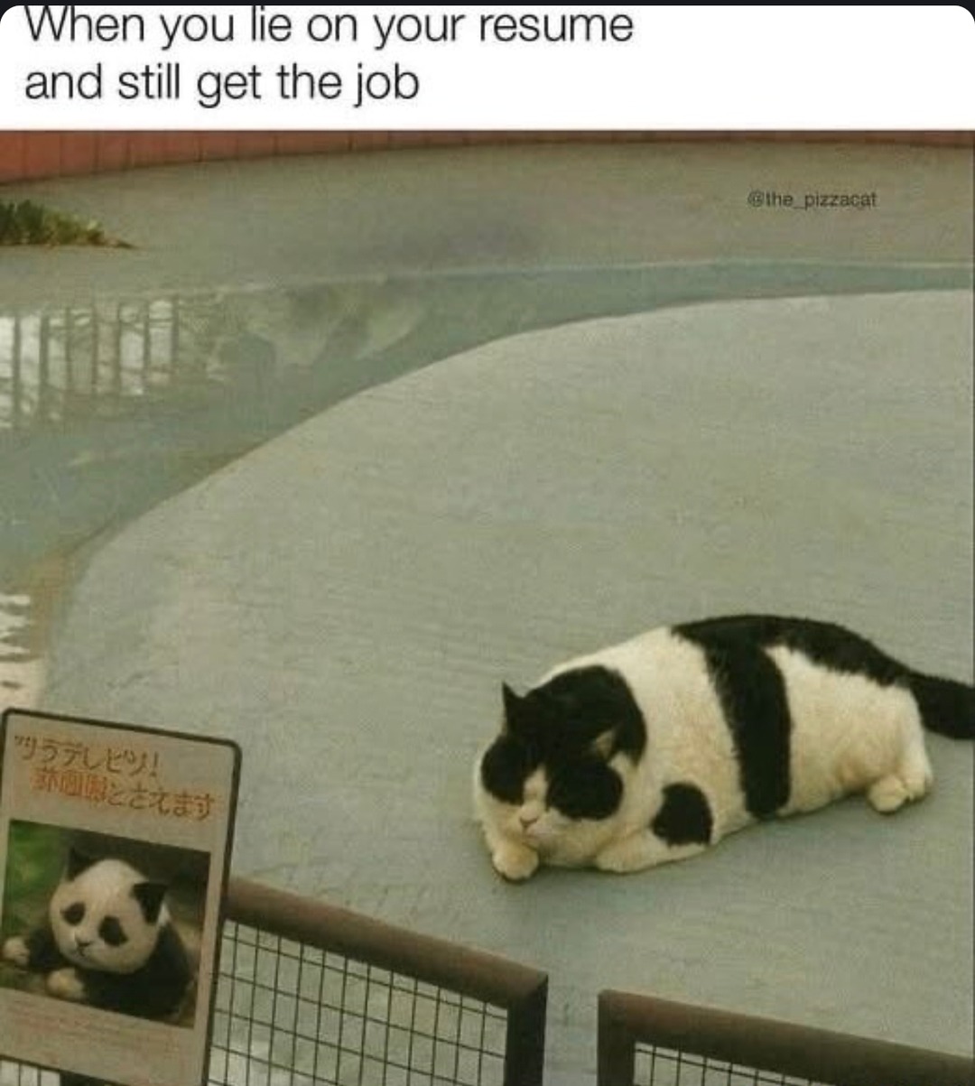 Fib on a resume and still make it—funny how that works - meme