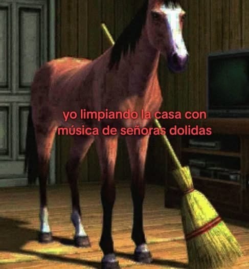 Limpiando con musica de doñas - meme