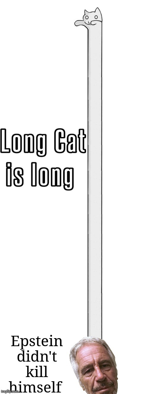Long cat is long - meme