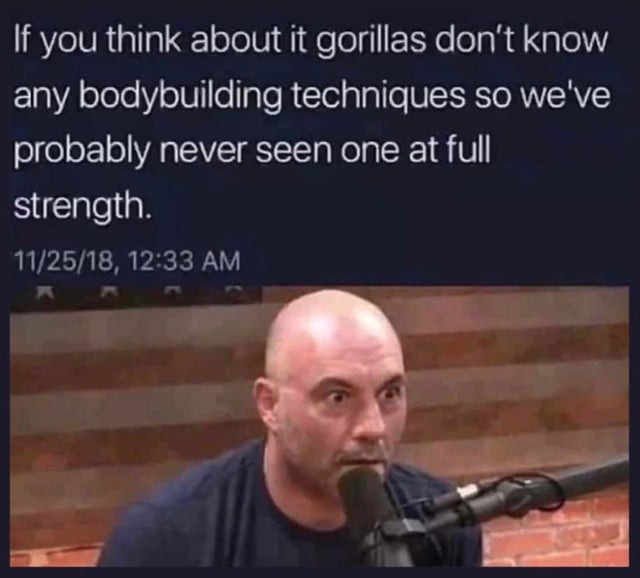 Gorilla full strength - meme