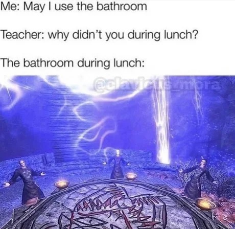 The bathroom during lunch - meme