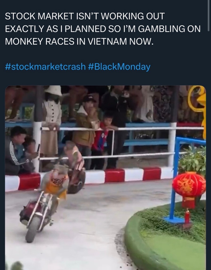 From stocks to betting on monkey races, it's all ROI bro - meme