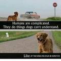 Doggo has a point....