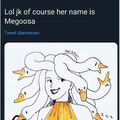 Megoosa