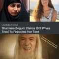 Next on Real Wives of ISIS.