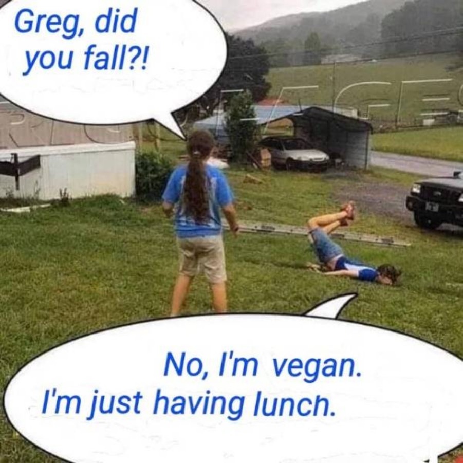 vegan eating habits - meme