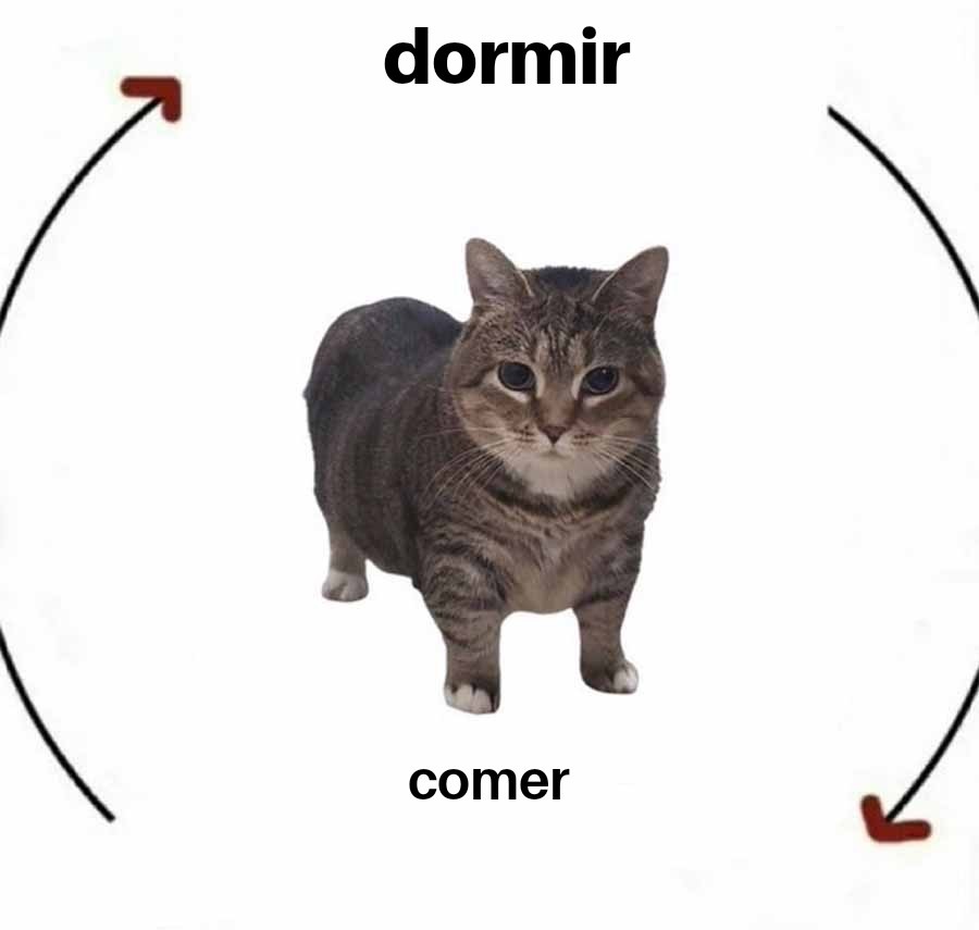 Verdad - meme