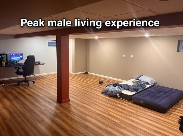 The peak male experience is 90% pain, 10% denial - meme