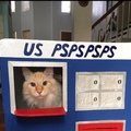 cat mail