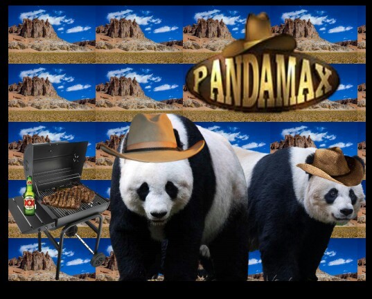 La verdadera Pandamax - meme
