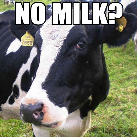 No milk? - meme