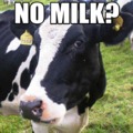 No milk?