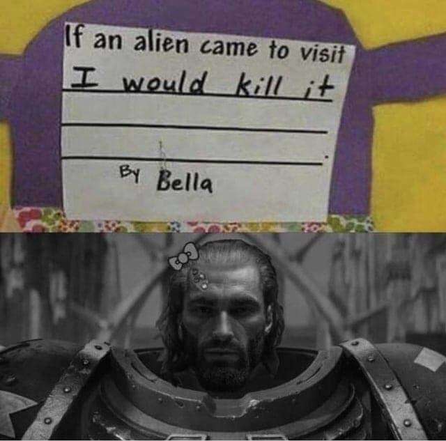 chad Bella - meme
